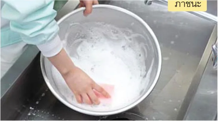 SARAYA Smart San Detergent N-2
